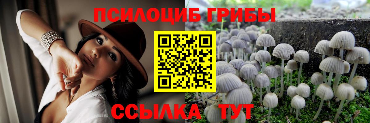 Кузнецк  Галлюциногенные грибы Psilocybe  Вход с VPN  Псилоцибиновые грибы Cubensis 